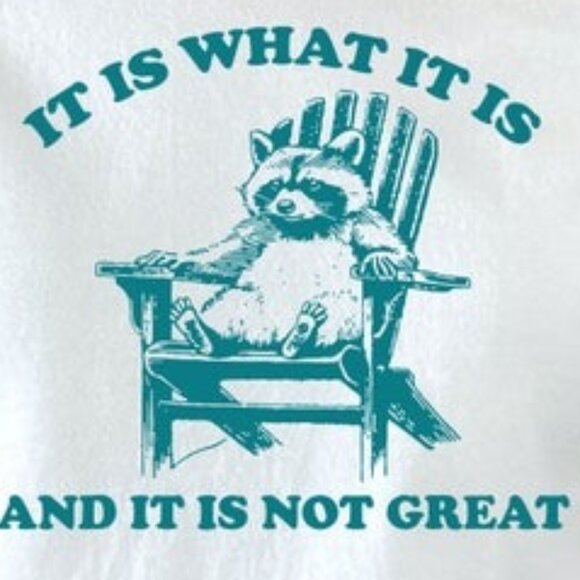 It Is What It Is And It Is Not Great Shirt, Raccoon Meme Shirt, Funny Shirt - Picture 2 of 4